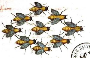 ??????????????????????????????????????????????????????????????????????????????????????????????????????????????????????????????????????????