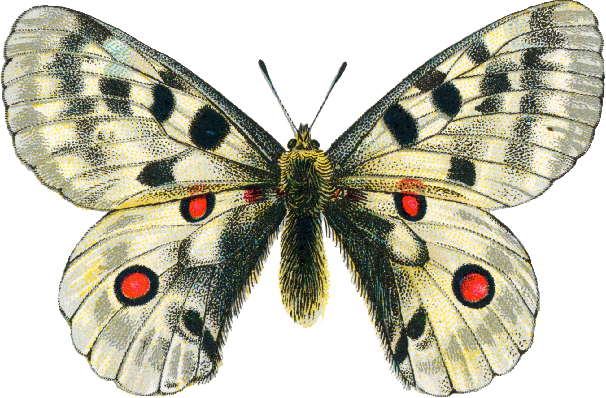 B2
