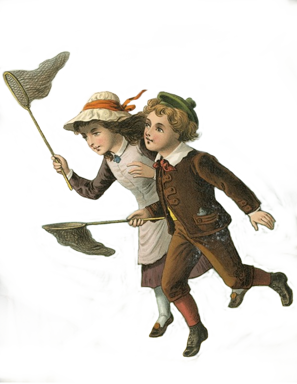 Butterfly Hunt_Characters