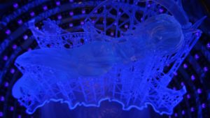 UV_3